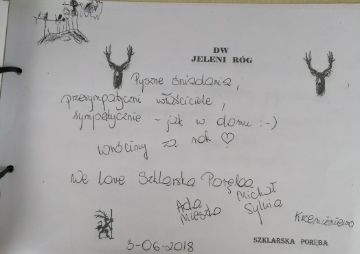 Skan wpisu